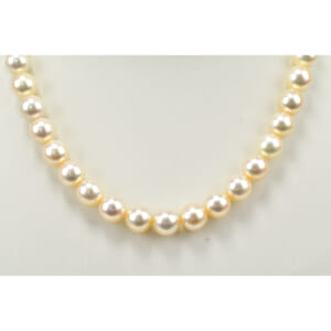 タサキ パールネックレス SV金具 9mm-9.4mm 買取実績【買取日：2025年8月18日】