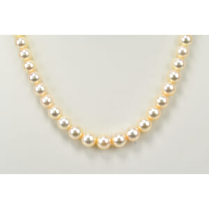 タサキ パールネックレス SV金具 6.4mm-8.2mm 買取実績【買取日：2025年7月30日】