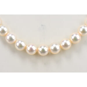 ミキモト Mチャーム パールネックレス K14WG 6.1~6.5mm 買取実績【買取日：2025年8月1日】