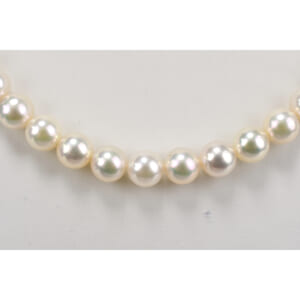 ミキモト Mチャームパールネックレス SIL刻印 6.6mm 買取実績【買取日：2025年9月12日】