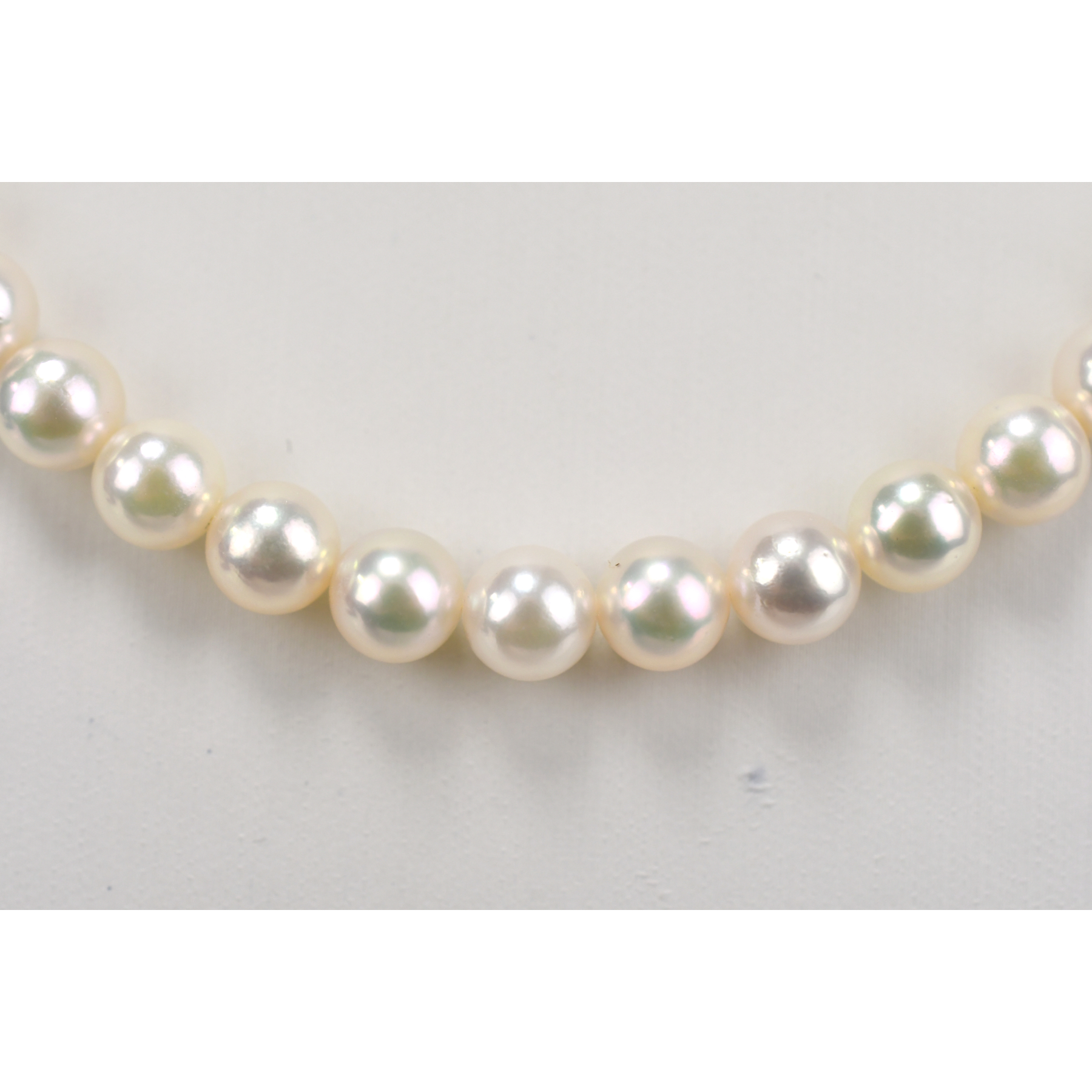 ミキモト Mチャームパールネックレス SIL刻印 6.6mm Bランク