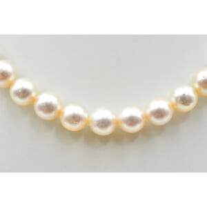 タサキ パールネックレス SV925 買取実績【買取日：2025年10月17日】