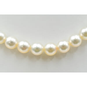 ミキモト ミキモト パールネックレス K14WG 買取実績【買取日：2025年10月15日】