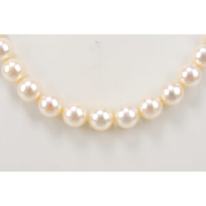 パールネックレス SV 9.2mｍ 買取実績【買取日：2025年9月25日】