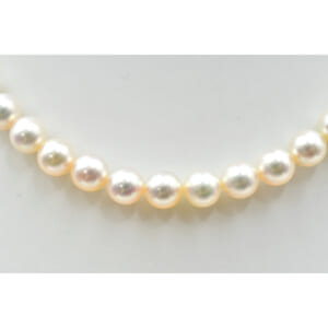 ミキモト パールネックレス K14WG 7mm 買取実績【買取日：2025年10月19日】