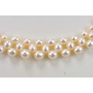 タサキ パールチョーカー GP 買取実績【買取日：2025年10月18日】