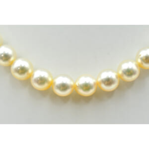 タサキ パールネックレス SV 買取実績【買取日：2025年10月18日】