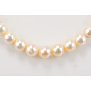 タサキ パールネックレス 7.9 8.5 S刻印 買取実績【買取日：2025年10月15日】