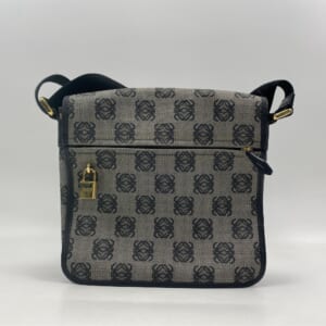 ロエベ アナグラム ショルダーバッグ PVC×レザー GD金具 買取実績【買取日：2025年11月2日】