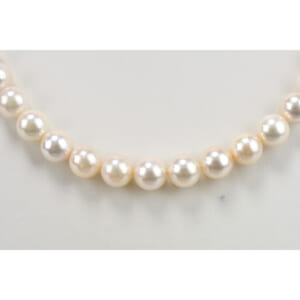 パールネックレスイヤリングセット ネックレスSV 32.6g ピアスK14WG 1.5g 買取実績【買取日：2025年12月1日】