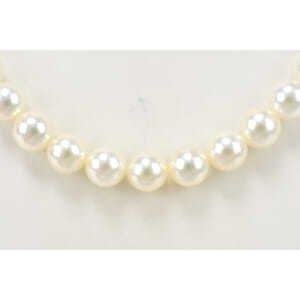 花珠 パールネックレス 7.5 8.0 SV金具 買取実績【買取日：2025年12月3日】