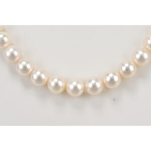 パールネックレス K14WG 7.4ｍｍ 7.8ｍｍ 買取実績【買取日：2025年12月3日】