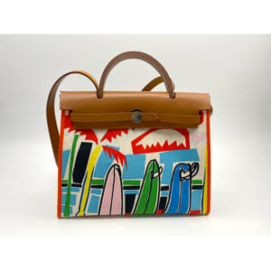 エルメス エールバッグジップ レザー×トワル SV刻印 マルチカラー サーフィン 買取実績【買取日：2025年3月20日】