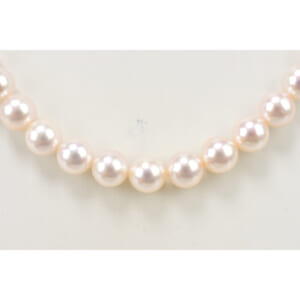 花珠ネックレス セット ネックレスSV925 7.5 -8.0mm 37.8g ピアス K14WG 8.4mm 2.5g 買取実績【買取日：2026年1月27日】