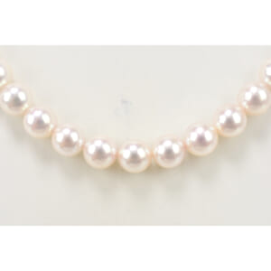 パールネックレス K14WG 7 7.5 買取実績【買取日：2026年1月29日】