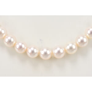 アコヤパールセット ネックレス SV 8.5 9.0 47.8g/ピアス K14WG 3.0g 8.7 買取実績【買取日：2026年1月30日】