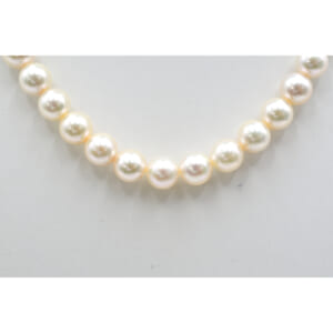 パールネックレス SV925 7.5 7.8 買取実績【買取日：2026年1月31日】