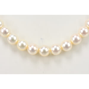 花珠パール セット ネックレス K14WG 7.5~8.0mm 36.6g ピアス Pt900 7.5 1.74g 買取実績【買取日：2026年1月31日】