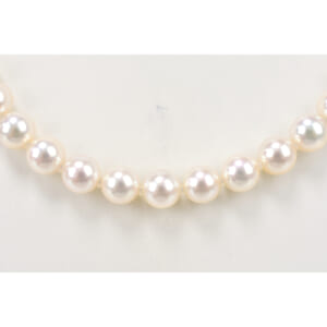 花珠パール セット ネックレス SILVER 7.5 8 イヤリング K14WG 7.5 N:41.1g E:2g 買取実績【買取日：2026年2月2日】