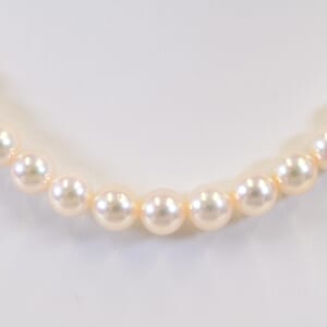 ミキモト Mチャーム パールネックレス K18WG 7.5mm