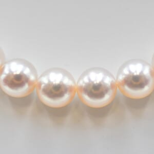 ミキモト パール Mチャーム セット ネックレス:K18WG ピアス:K18WG ネックレス7.7～8mm ピアス8.6mm ネックレス40g ピアス2.8g
