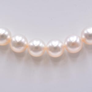 パールネックレス SILVER 7mm‐7.4mm