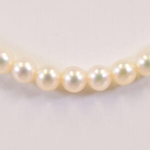 ミキモト Mチャーム ベビーパール ネックレス K18 3.5～4.0mm