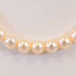 タサキ パールネックレス S刻印 7.5mm