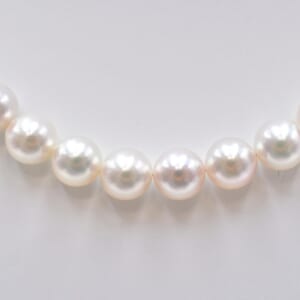 アコヤ パールネックレス SILVER PAT PENDING 7～7.5mm イヤリング K14WG 7～7.5mm