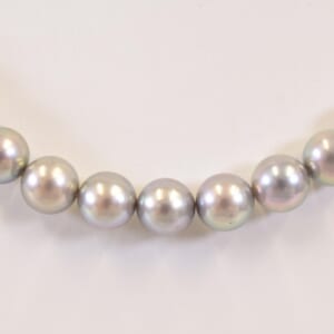 タサキ パール 3点セット (ネックレス Sv 約7.0mm7.5mm ピアス K14WG