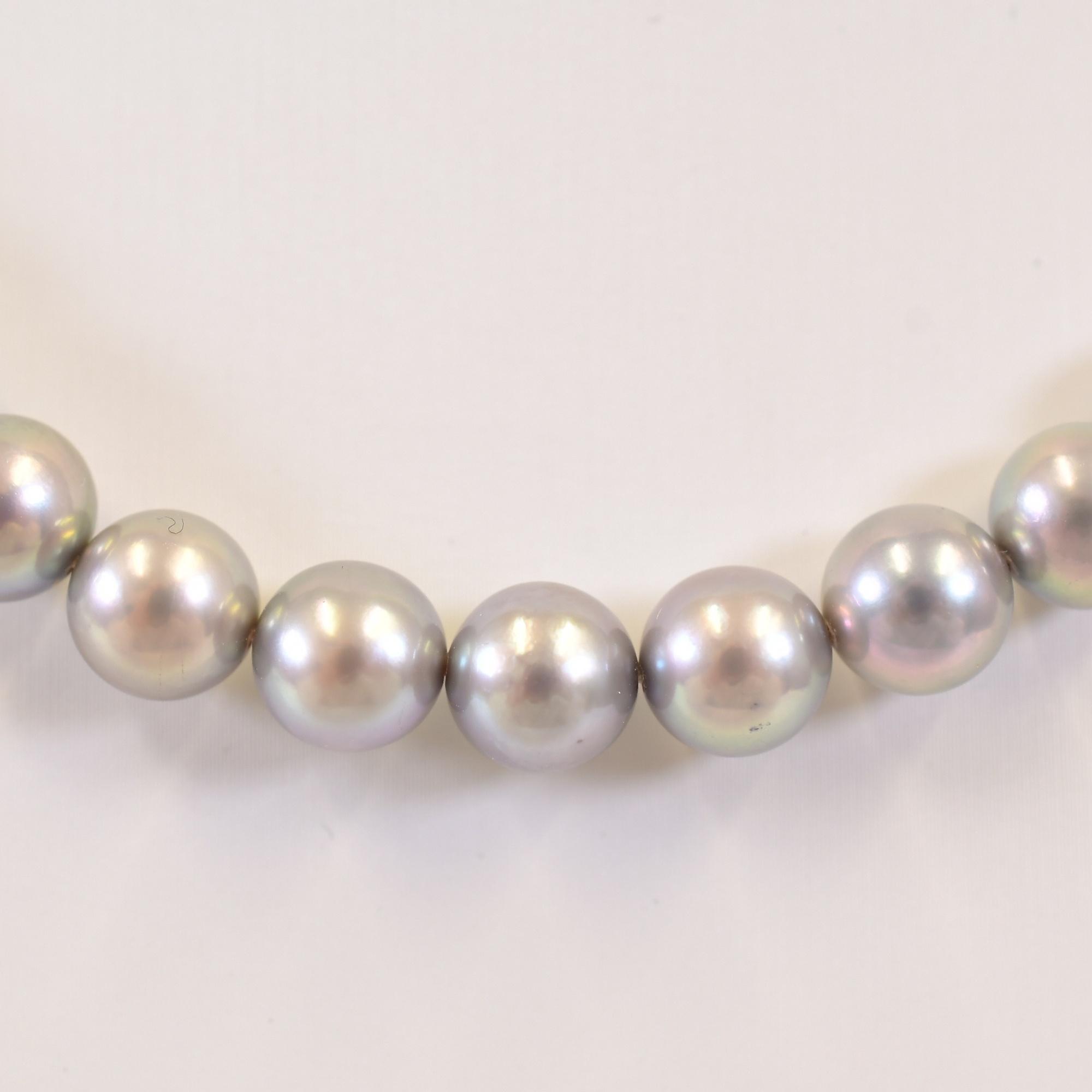 タサキ ブルーパールネックレス SV 7.5mm～8mm 買取実績【買取日：2026
