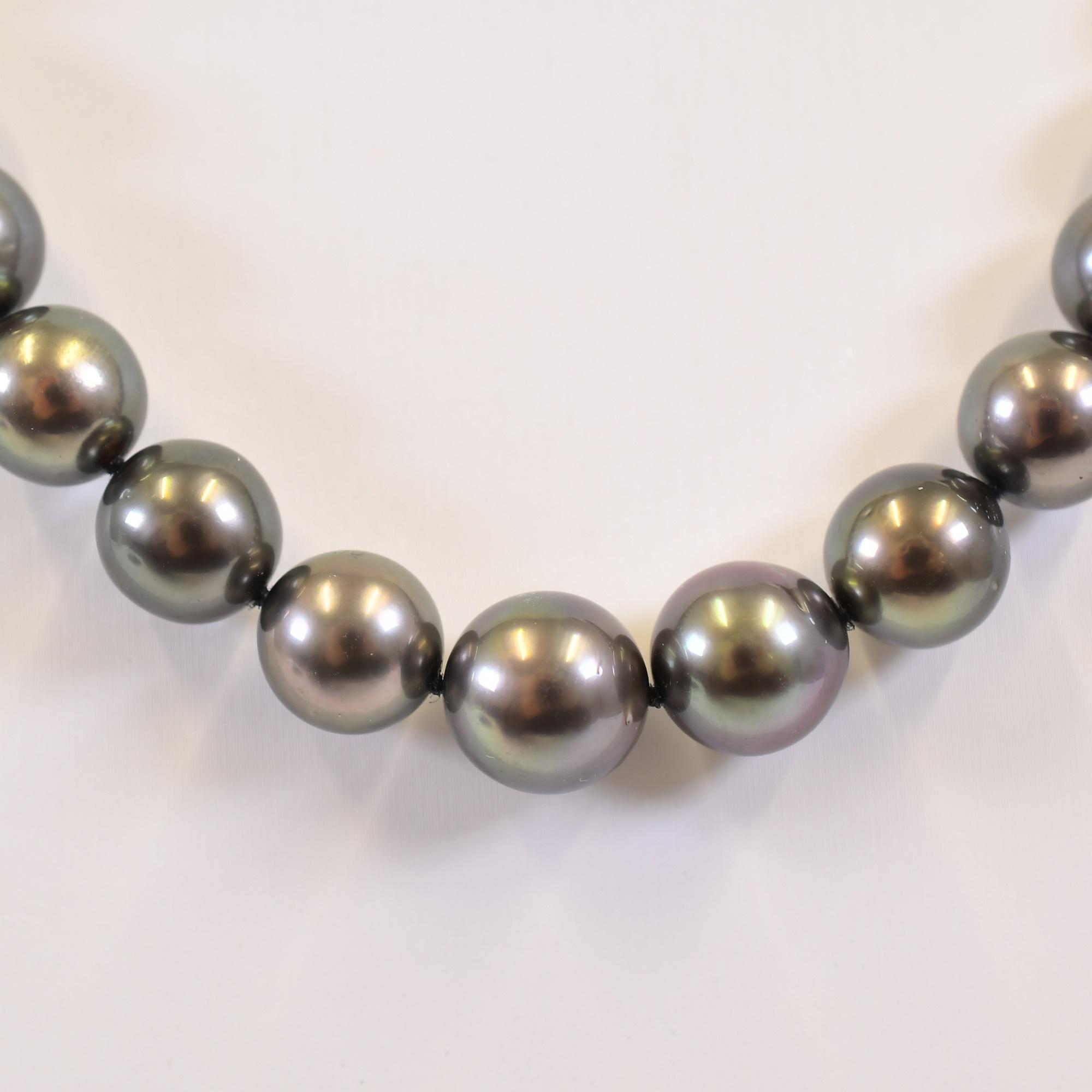 TASAKI 南洋黒蝶真珠 ネックレス＆Ptピアス セット LUXE タヒチ黒蝶 
