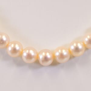 タサキ パールネックレス×イヤリング セット ネックレス:S刻印 7.5mm
