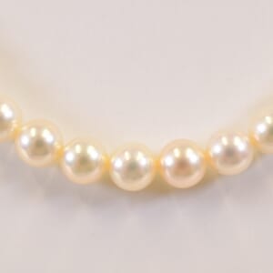 ミキモト Mチャーム パール ネックレス SIL 6.7～7mm