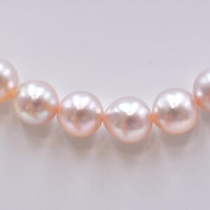 ピンク パールネックレス シルバー金具 7.4mm