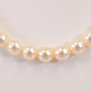 タサキ パールネックレス SV 4.8-6.6mm