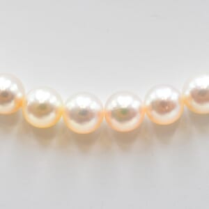 タサキ パールネックレス×イヤリング セット ネックレス:S刻印 7.5mm イヤリング:K14WG 7mm 28.8g 2.9g