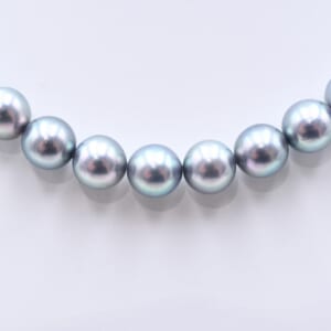 タサキ 黒蝶真珠 ネックレス SILVER 0.8mm