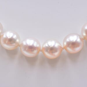 パールネックレス 7.5mm~7.8mm
