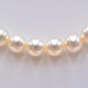 パールネックレス 約6.4mm SV
