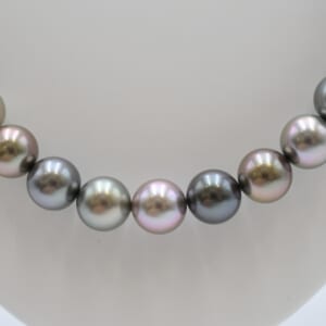 ミキモト Mチャーム 130周年記念 黒蝶パールネックレス 8.5~10.5mm