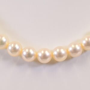 ミキモト パールネックレス K14WG 6.5mm