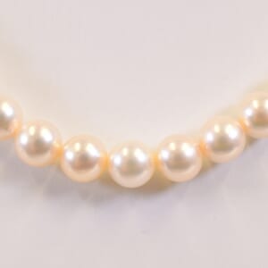 タサキ パール ネックレス SV 6.5mm～6.9mm