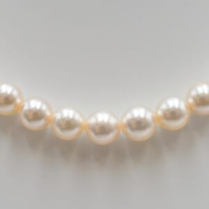 ミキモト パールネックレス SILVER 4.9mm～6.9mm