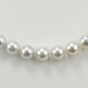 タサキ アコヤパールセット ネックレス:SILVER 7.1～7.2mm イヤリング:WGK14 7.4mm
